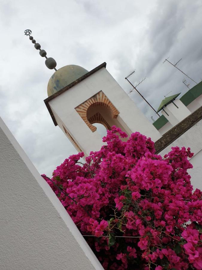 Entre 2 Mezquitas Apartamento 8 코르도바 외부 사진