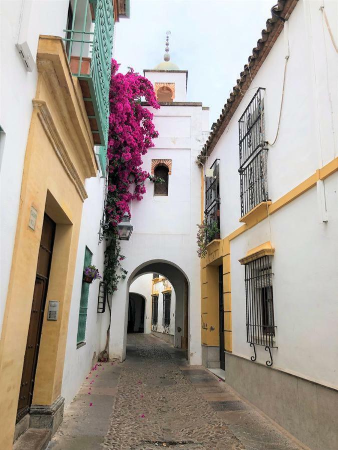 Entre 2 Mezquitas Apartamento 8 코르도바 외부 사진