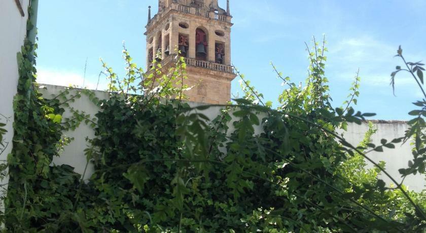 Entre 2 Mezquitas Apartamento 8 코르도바 외부 사진